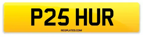 P25 HUR