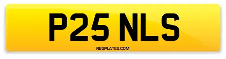 P25 NLS