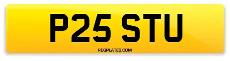 P25 STU