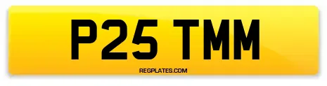 P25 TMM
