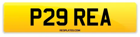 P29 REA