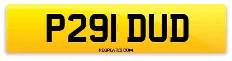 P291 DUD