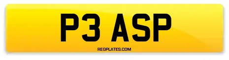 P3 ASP