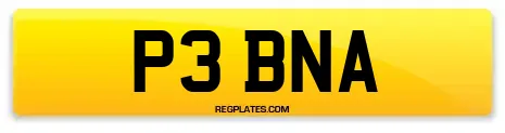 P3 BNA