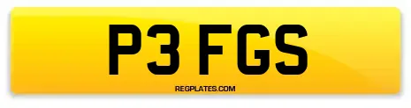 P3 FGS