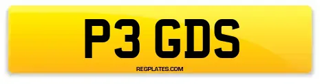 P3 GDS