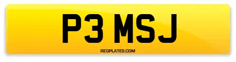 P3 MSJ