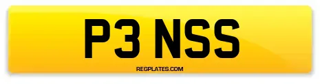 P3 NSS