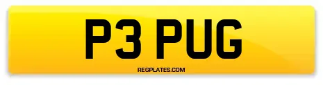 P3 PUG