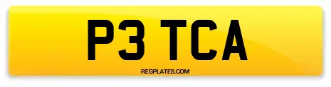 P3 TCA
