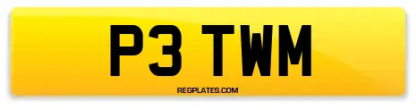 P3 TWM