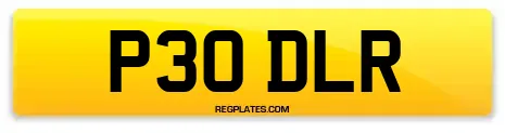 P30 DLR