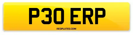P30 ERP