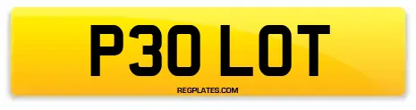 P30 LOT