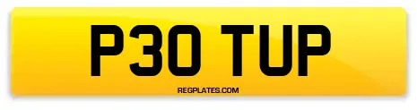 P30 TUP