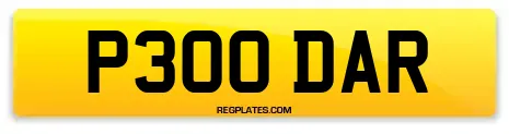 P300 DAR