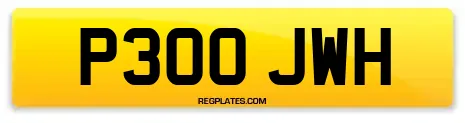 P300 JWH