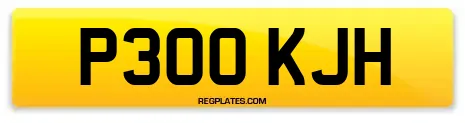 P300 KJH