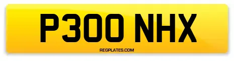 P300 NHX