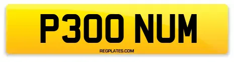P300 NUM