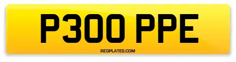 P300 PPE