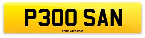 P300 SAN