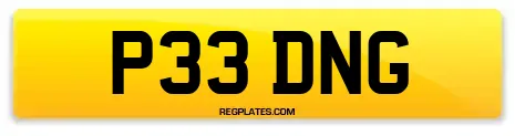 P33 DNG