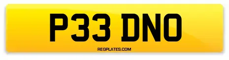 P33 DNO