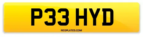 P33 HYD