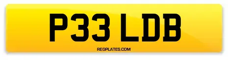 P33 LDB