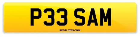 P33 SAM