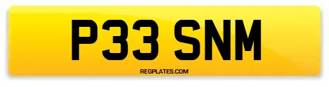 P33 SNM
