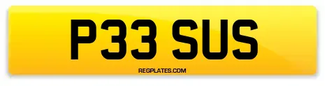P33 SUS
