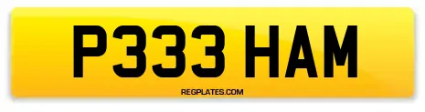 P333 HAM