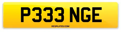 P333 NGE