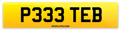 P333 TEB
