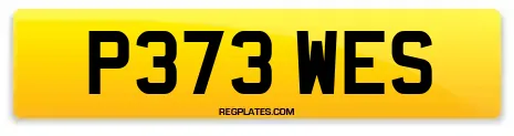 P373 WES
