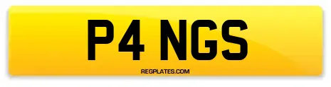 P4 NGS