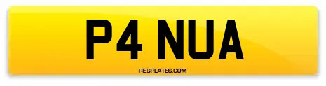 P4 NUA