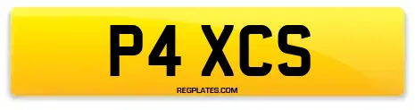 P4 XCS