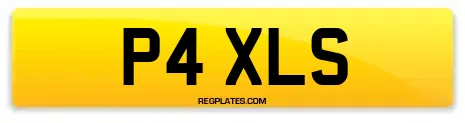 P4 XLS