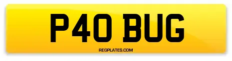 P40 BUG