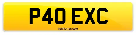 P40 EXC