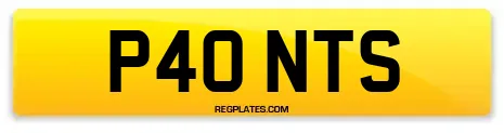 P40 NTS