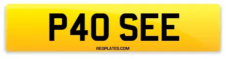 P40 SEE