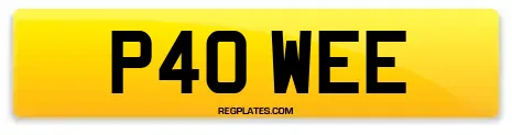 P40 WEE