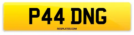 P44 DNG