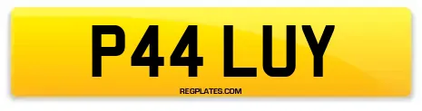 P44 LUY