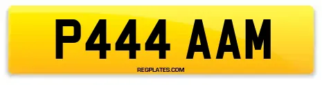 P444 AAM