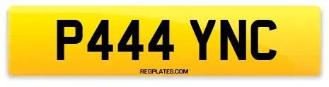 P444 YNC
